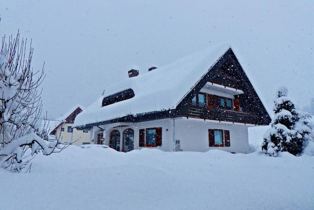 Guest House Alenka Bohinj Exteriér fotografie
