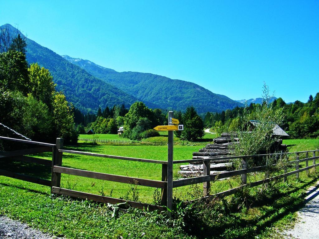 Guest House Alenka Bohinj Exteriér fotografie