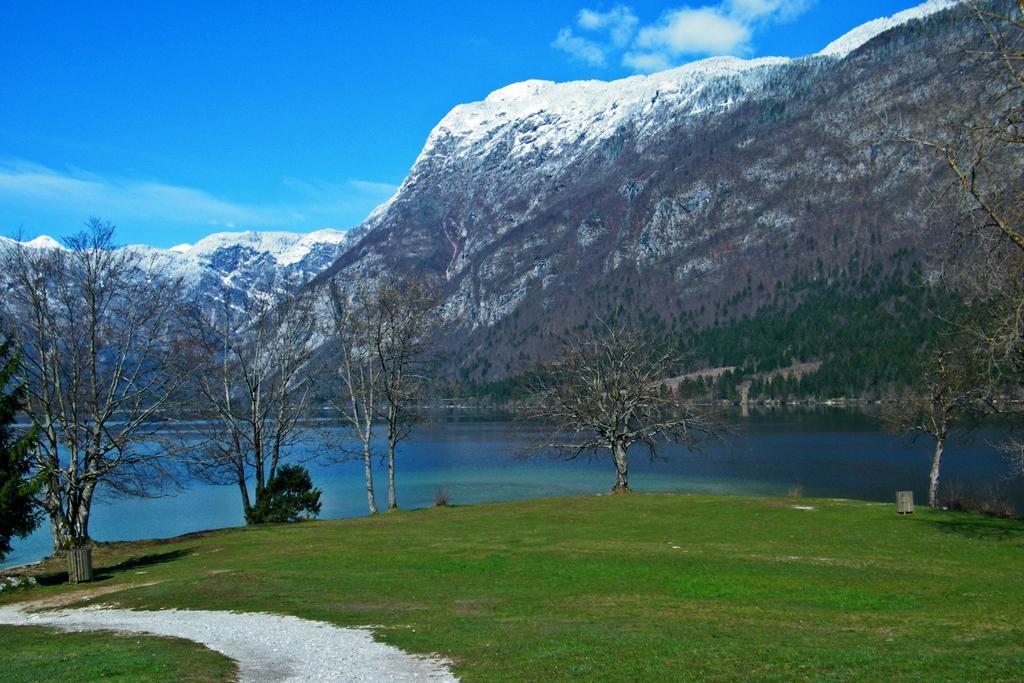 Guest House Alenka Bohinj Exteriér fotografie